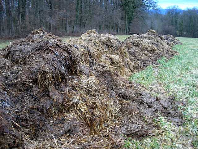 Hagenthal  (FRA)    17 Febbraio  2006